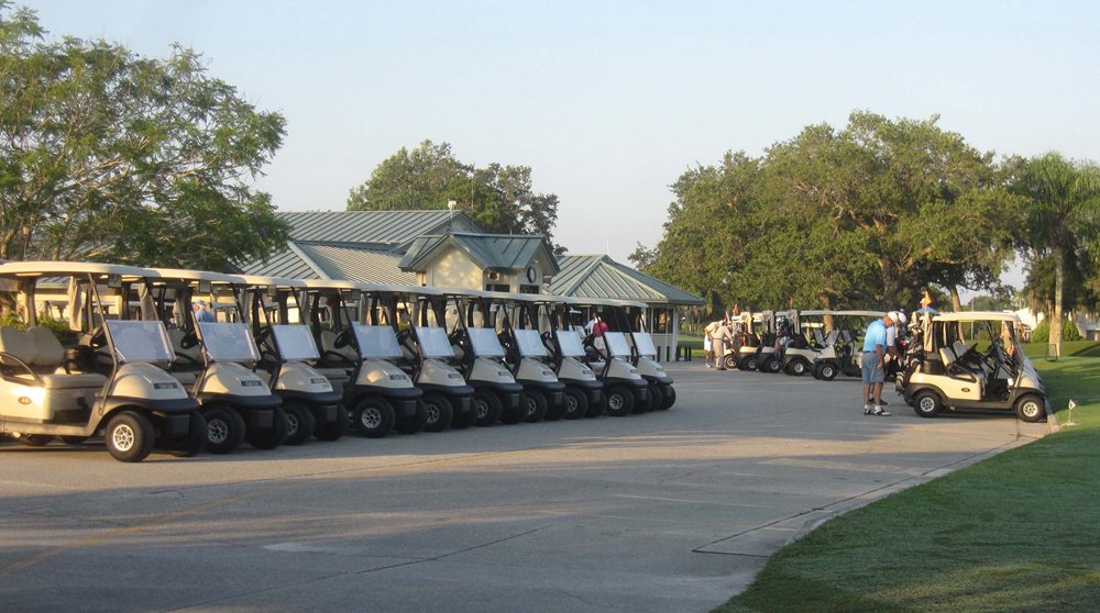 GolfCarts